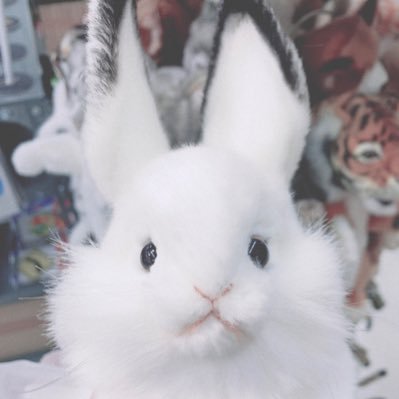 そよさんのプロフィール画像