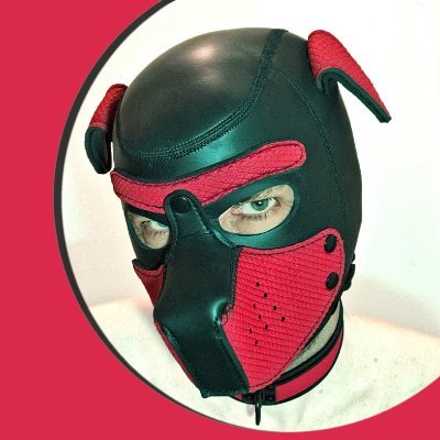 dog_arkis's profile picture. 🏳️‍🌈 older stray doggo 🐾