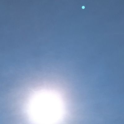 wolfy05fangs's profile picture. 