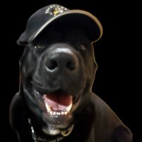 Charlie Aznar (@charlieaznar) 's Twitter Profile Photo Charlie Aznar (@charlieaznar) 's Twitter Profile Photo
