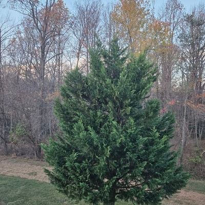 Guardey12's profile picture. 