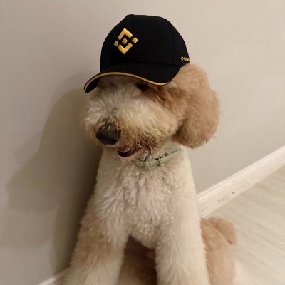 THE $fur-nancial advisor
TG: https://t.co/sVI7MOUFva
CA: DQc6FTgu2HiB1PMUkHj8SATCtxsCeeMz5hiaqwk1pump
Memecoin