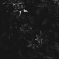 Apollo 💤 (@trytxn) 's Twitter Profile