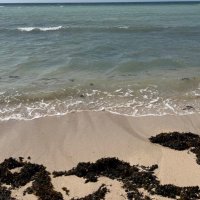 فحل عشريني 🔥 (@f14486) 's Twitter Profile
