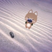撮わんこ（らんす） (@inuinurance) 's Twitter Profile