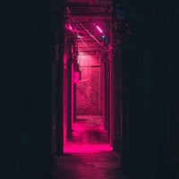 KnightXveins (@knightxveins) 's Twitter Profile