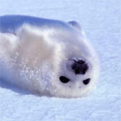 turpel_'s profile picture. decent tetrio player, mid minecraft speedrunner, occasional mcsr chatter
im lurking 99% of the time but may occasionally post :3
