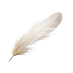 Count tickles (@counttickler) Twitter profile photo Count tickles (@counttickler) Twitter profile photo
