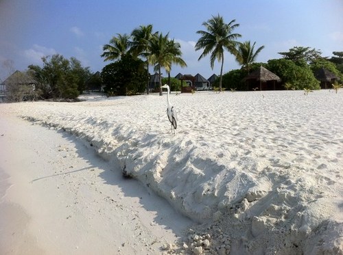 mibaconsulenze's profile picture. 