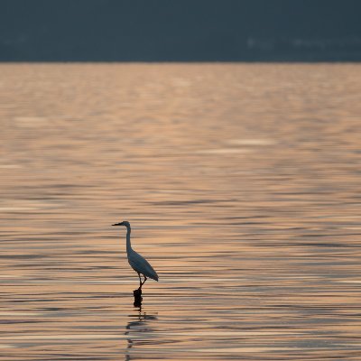 IIHSsweeperChen's profile picture. 摄影/胶片/汽车安全/数码产品。随便捯饬下（