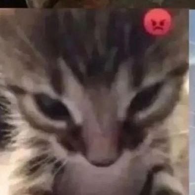 lorinron's profile picture. yo no se tu que yo que tu que yo que tu que yo....