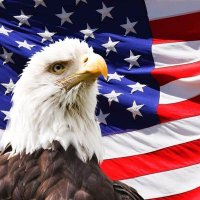 wilderness (@southwildernes) 's Twitter Profile Photo