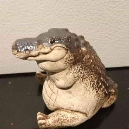 saknok539338's profile picture. 