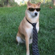 Ducksants's profile picture. bom dia