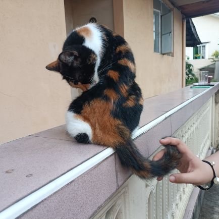 Peripherymyass's profile picture. 