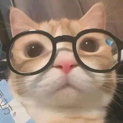 giis_zz's profile picture. Human|CS Student|intp|Tea lover|Cat lover|Obsessed with astronomy 🪐 🔭 |Obsessed with astrophysics 🛰️🚀