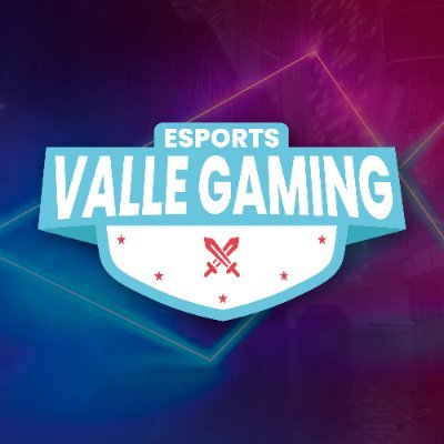 VALLE Gaming Profile