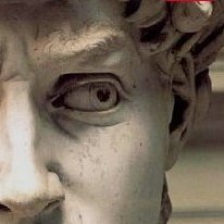 Eutanasio70's profile picture. En un gran país es fácil ser bueno.