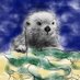 早海 獺 (@usohayami) Twitter profile photo 早海 獺 (@usohayami) Twitter profile photo