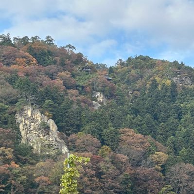 29ataru29's profile picture. 