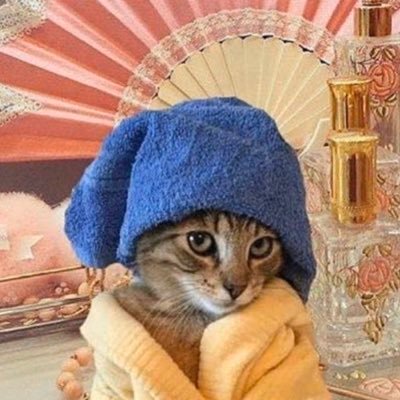 lavenderxhive's profile picture. 30-something | Latina | Beyhive 🐝+ Gaylor🪩 + Benito🐰 + Hottie 🔥| she/they | the personal is political 🌈🍉 | born to yap ♊️