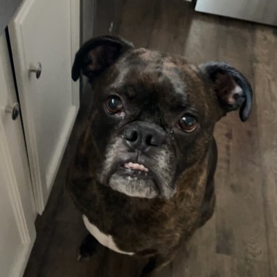 treytonns's profile picture. 