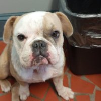 George Mertz (@mertz024) 's Twitter Profile