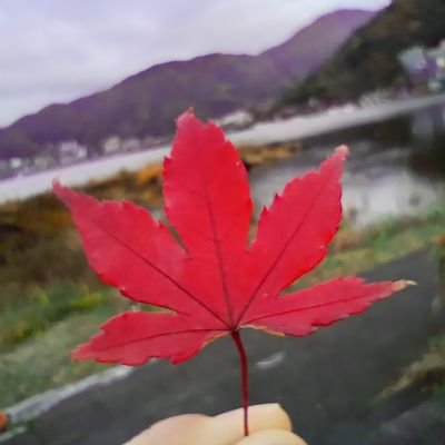 基本バイクで走り回ってます。
趣味は細かい手作業。アイロンビーズ休止中。今はレストアに夢中🏍
#バイク
#アイロンビーズ
#RGV250
#dtracker
#400X
