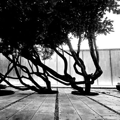 Arq_Urb_Esp_Pub's profile picture. 