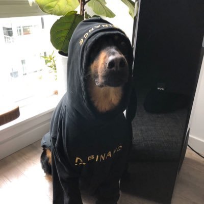 Gamer aus Leidenschaft!
Web3 Gamer mit einer Mission!

Gründer der deutschen Web3 Gaming Community (GermanW3bGaming |GWG|):
https://t.co/aRMKt10so0
