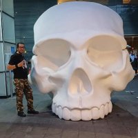 Francisco (@phran2810) 's Twitter Profile