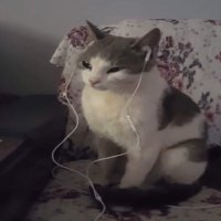 50fy (@sofisolys) 's Twitter Profile