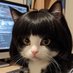 Xtendo (@xtendo3_) Twitter profile photo Xtendo (@xtendo3_) Twitter profile photo