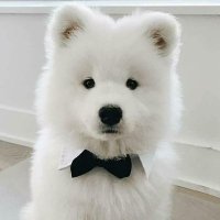 ★ 𝖣౿ɕ౿ო'ᑲ𝗈⍵★โพก้าในกูซูเป็นอุนยายของยัยซัง (@decembo9) 's Twitter Profile Photo ★ 𝖣౿ɕ౿ო'ᑲ𝗈⍵★โพก้าในกูซูเป็นอุนยายของยัยซัง (@decembo9) 's Twitter Profile Photo