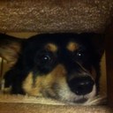 Cheng Pan - @EscoRoC - Twitter