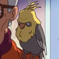 KirbyKaze (@kirbykaze_) 's Twitter Profile Photo KirbyKaze (@kirbykaze_) 's Twitter Profile Photo