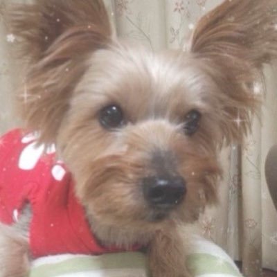 mO4nLRGRYJ29370's profile picture. オシャレが好き💖です。パチは辞めましたがライブ配信を見るのが好きです🥳🥰❣️。どうぞよろしくお願いいたします🙇🏻‍♀️🙇‍♀️🙇🏼‍♀️。