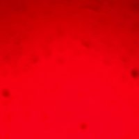 🥷 BIG POPPA DON 😏🍆💫 (@mr_disrespect4k) 's Twitter Profile Photo 🥷 BIG POPPA DON 😏🍆💫 (@mr_disrespect4k) 's Twitter Profile Photo