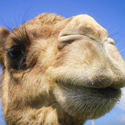 87X43aJRqa25087's profile picture. 