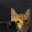 Amliestudy's profile image