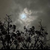 احلام (@ahlam24_4) Twitter profile photo