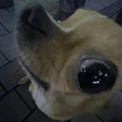 YahirOlguin777's profile picture. 