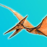 Terry Dactyl (@mhszephyr65) 's Twitter Profile