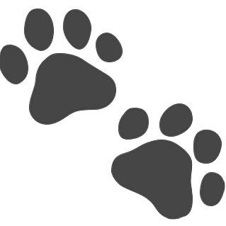 あろうさんのプロフィール画像