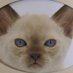 meow time (@meow_time_) Twitter profile photo meow time (@meow_time_) Twitter profile photo