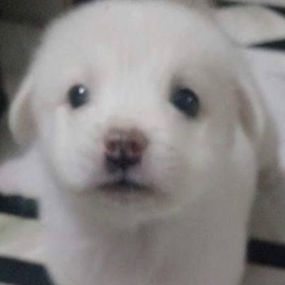 eatbibimbap's profile picture. 백업/장르계x/구독