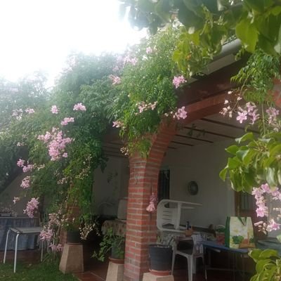 la vida es como el ajedrez comes o te comen