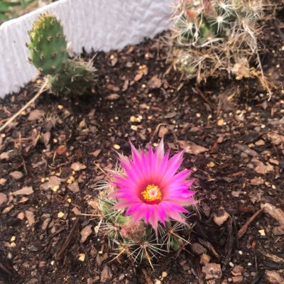 emmaLeamdavis's profile picture. 