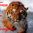 Patrick Paiva - @PaivaFlu156 - Twitter