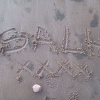 Seekingalovinghome (@seekingalh) 's Twitter Profile